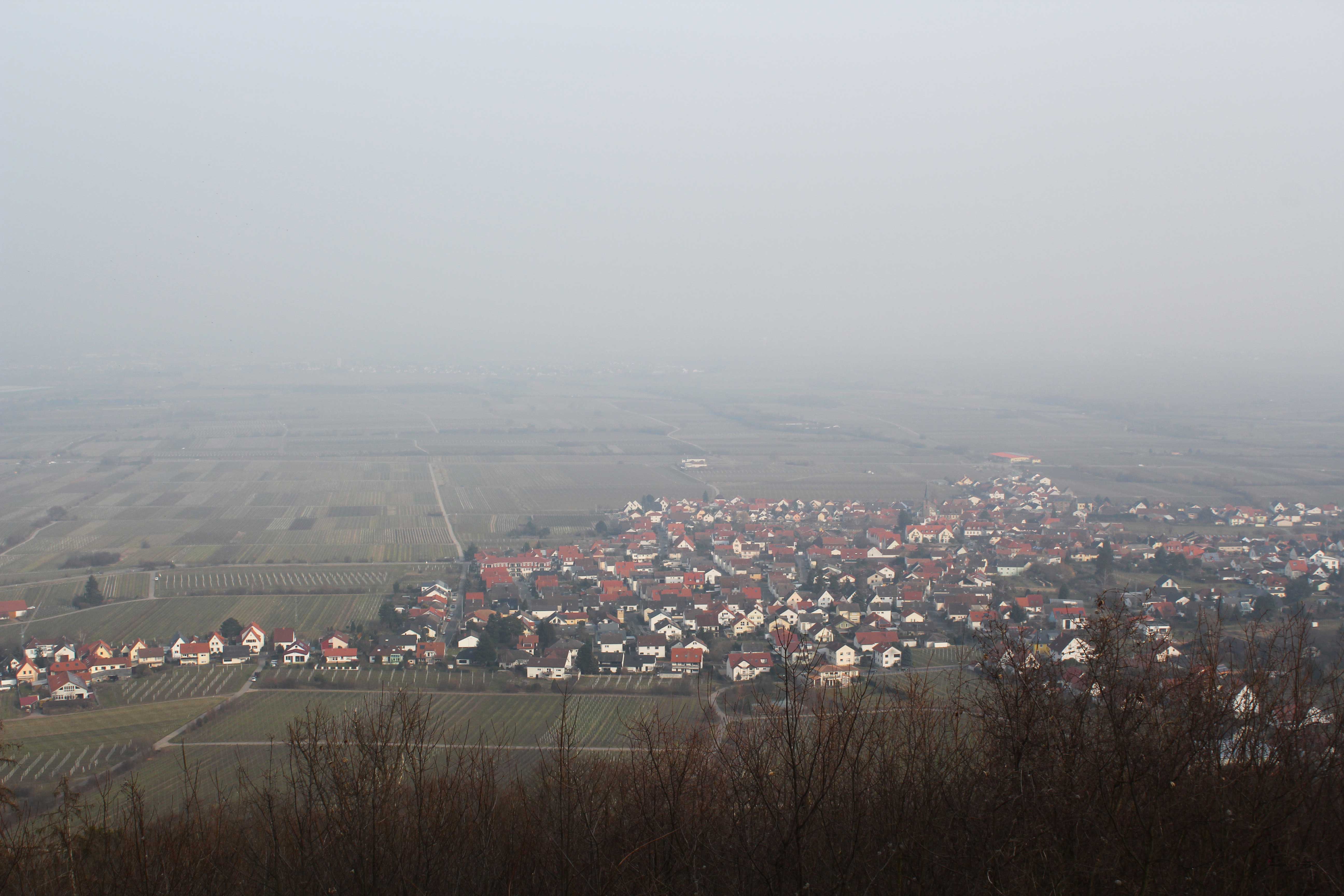 View from Hambach Castle